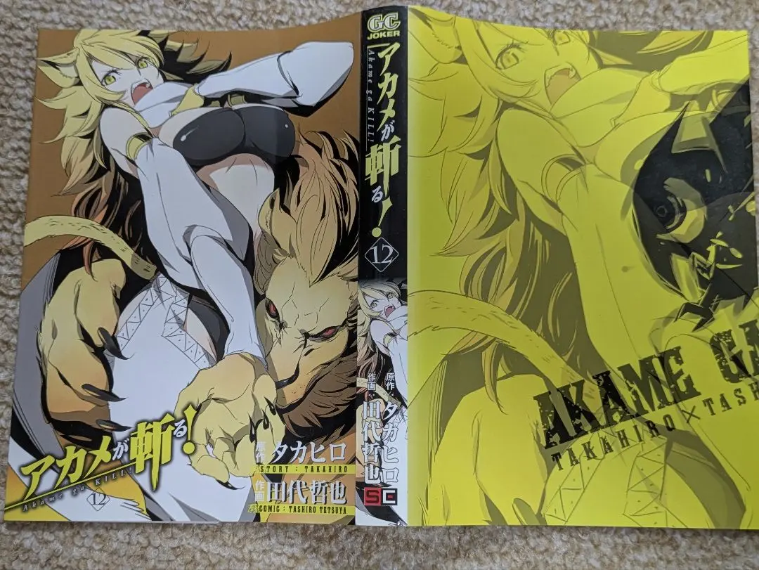 2025年最新】アカメが斬る ブックカバーの人気アイテム - メルカリ