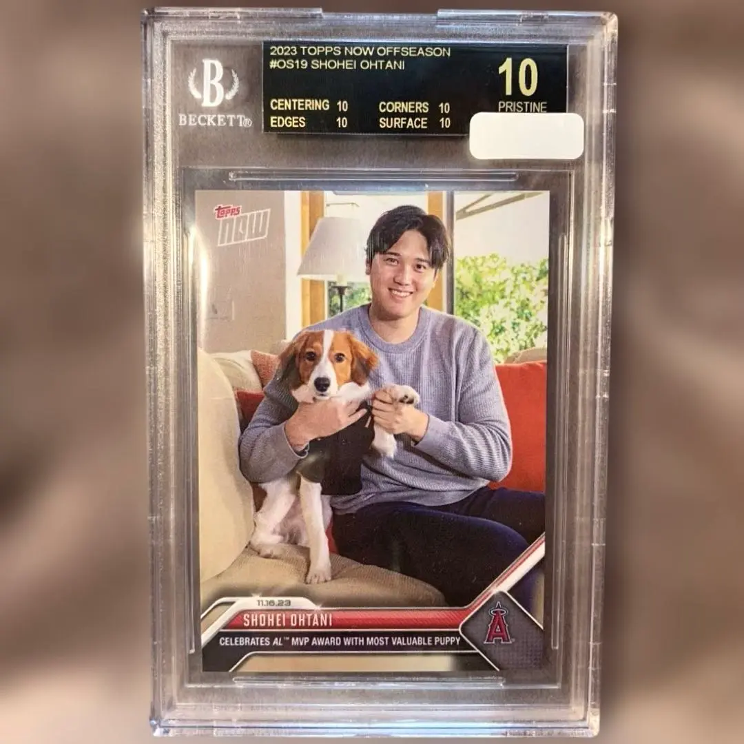 【PSA10】　大谷翔平　愛犬デコピン共演　MVP受賞記念カードTOPPSNOW Amazon.co.jp: 大谷翔平 デコピンちゃんとのツーショット MVP