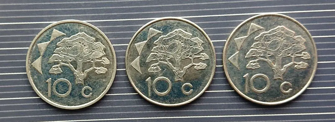 ナミビア　大型カラーコイン　20$ 2025年最新】ナミビア 銀貨の人気アイテム - メルカリ