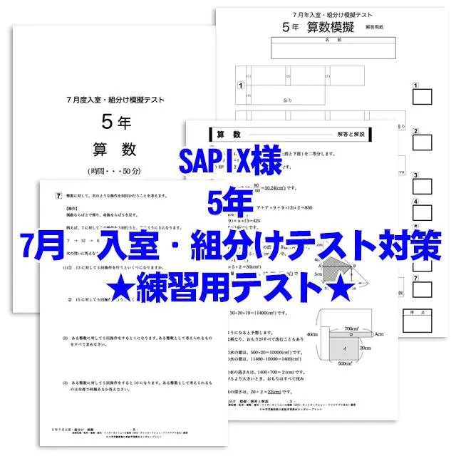 2025年最新】サピックス テスト 7月組み分けテスト 小の人気