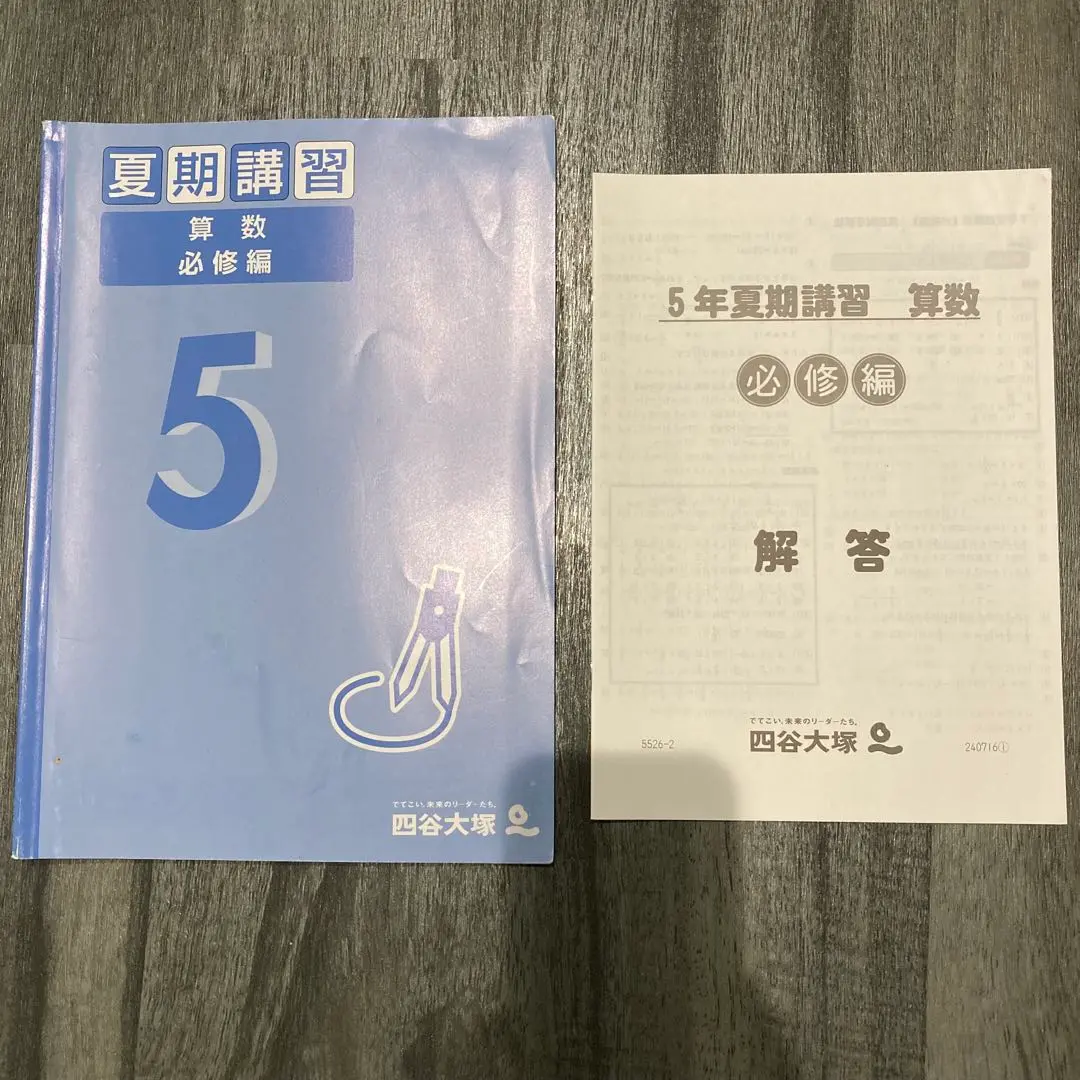 2025年最新】早稲アカ 夏期講習 5年の人気アイテム - メルカリ