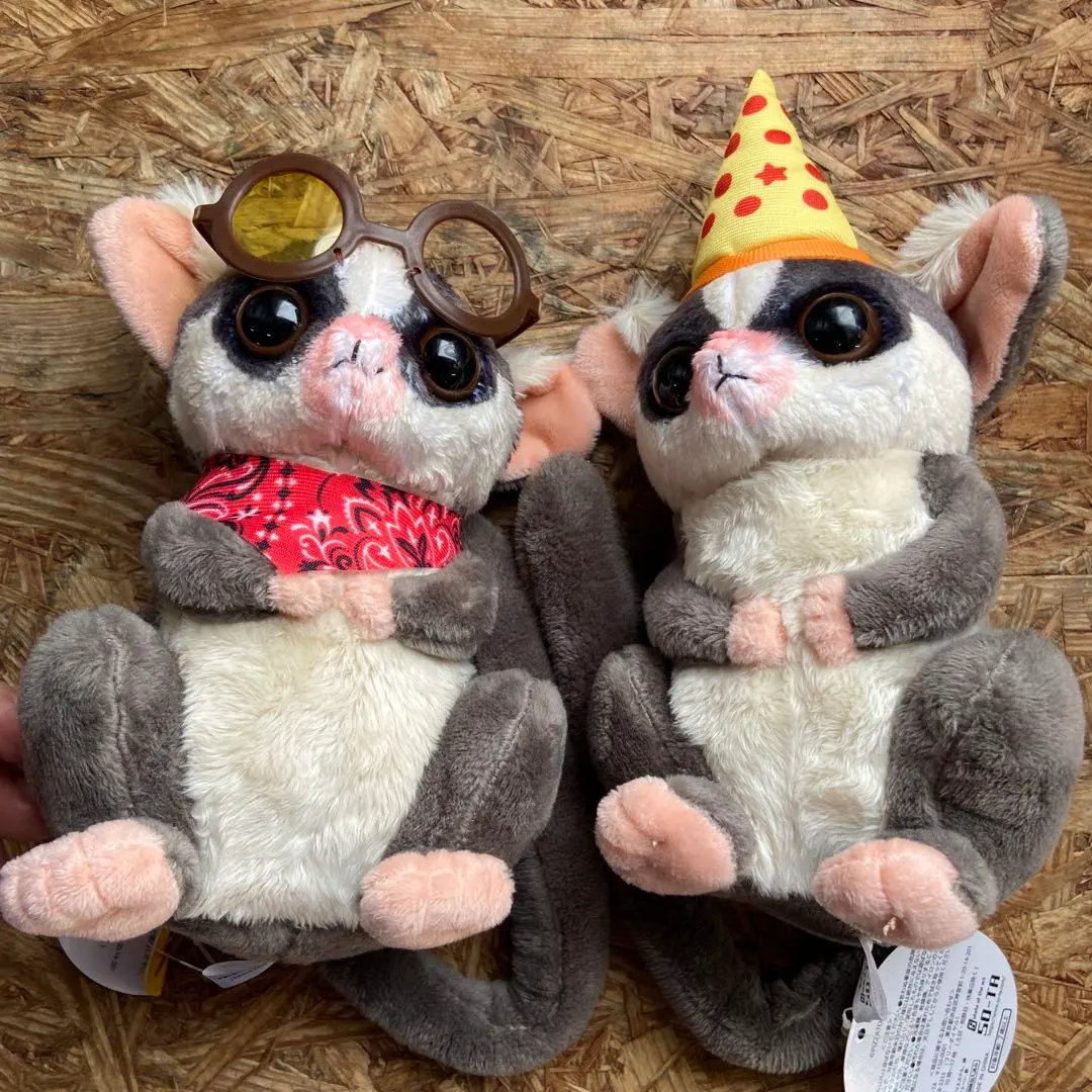 侏儒狐猴 Pizza Toru BIG玩偶 太陽眼鏡 絨毛玩偶 2個一組 的縮圖