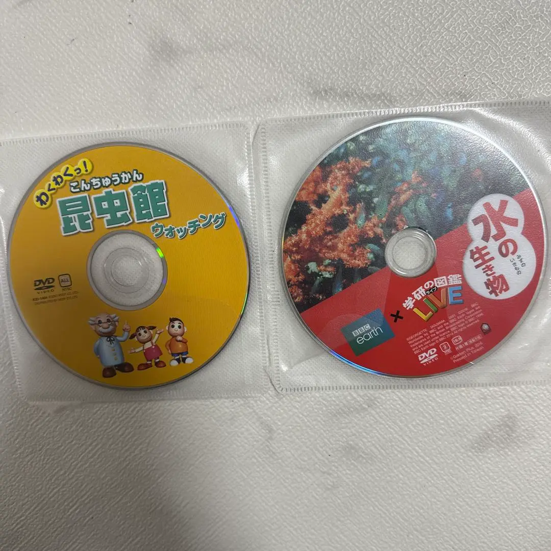 【中古】 わくわくウオッチング図鑑 ６/Ｇａｋｋｅｎ わくわくウオッチング図鑑 6/Gakken