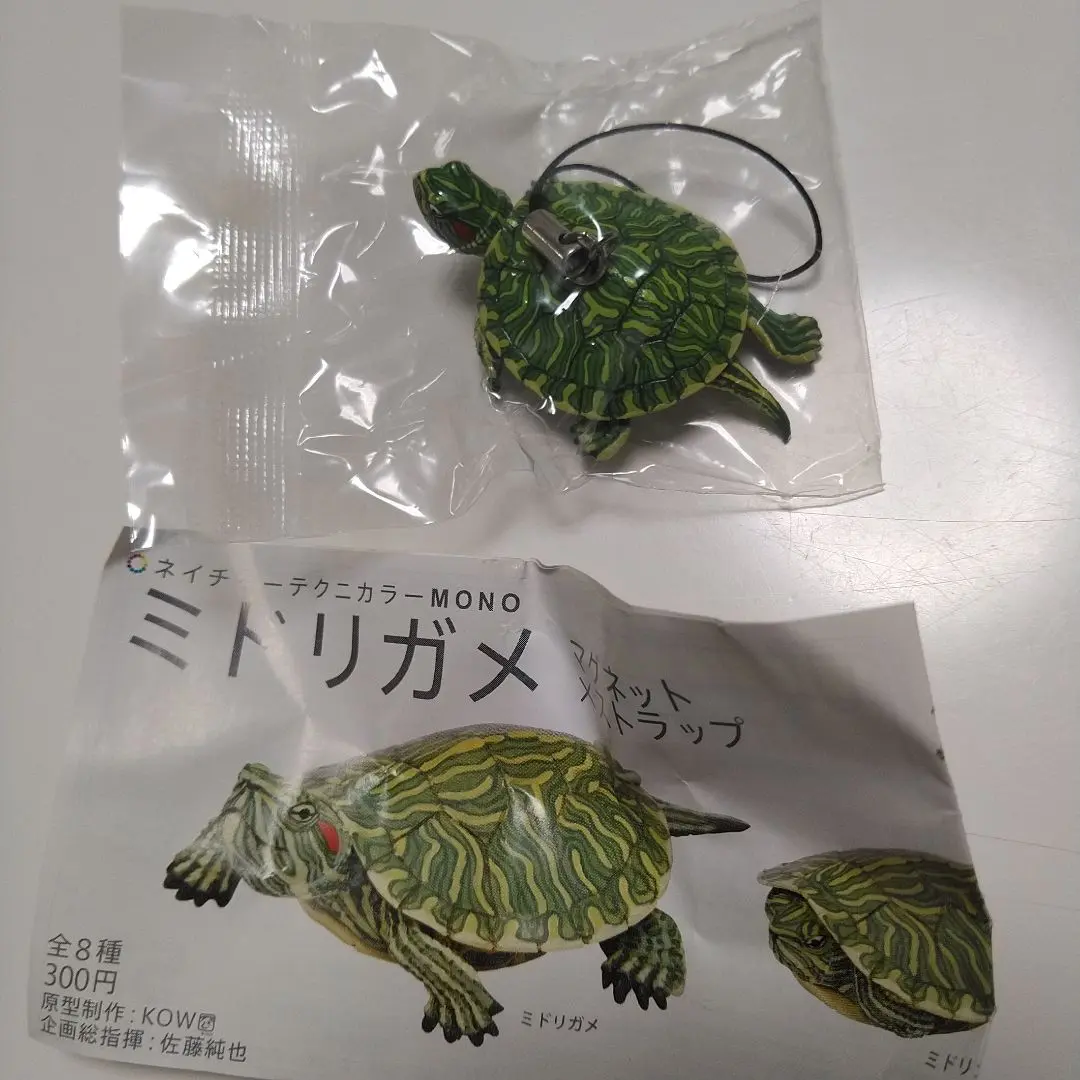 ♯Gyi16QJ　ネイチャーテクニカラーMONOミドリガメマグネット全4種 ミドリガメ マグネット×ストラップ – ネイチャーテクニカラー公式