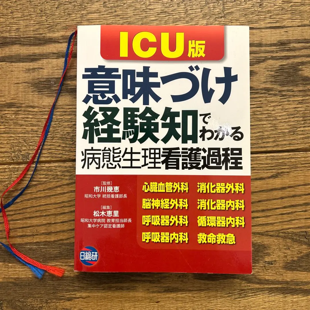 2025年最新】icu版 意味づけ経験知でわかる病態生理看護過程の