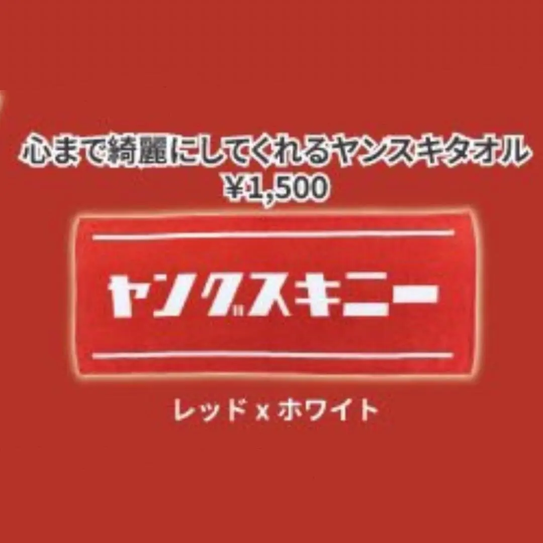 2025年最新】ヤンスキ タオルの人気アイテム - メルカリ