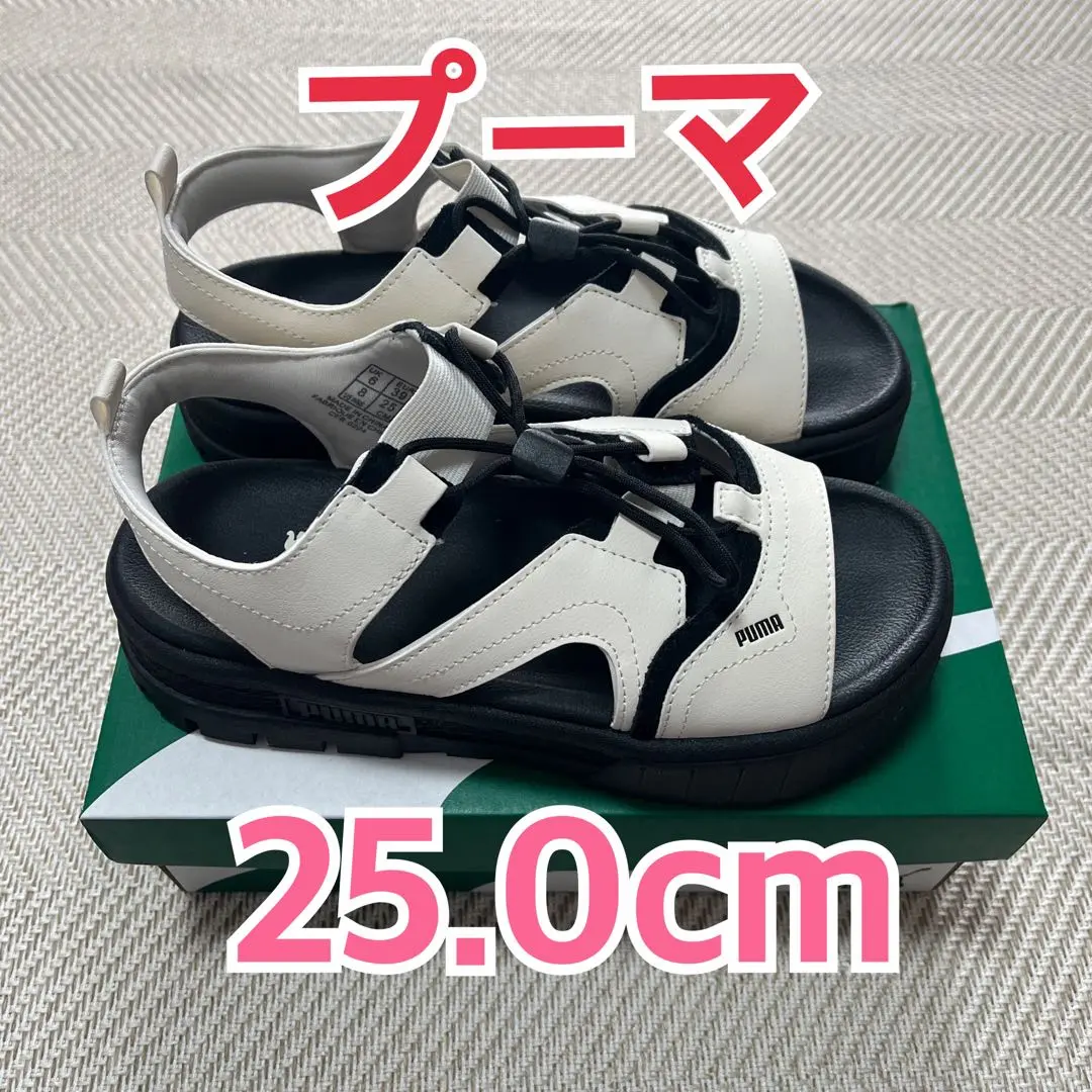 2025年最新】SnowMan puma 阿部亮平の人気アイテム - メルカリ