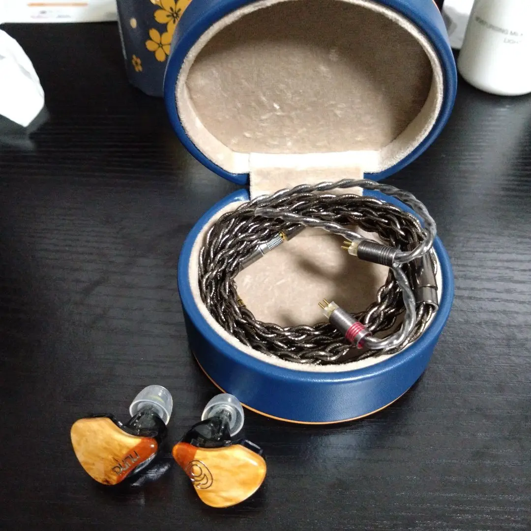 DUNU-TOPSOUND SA6mk2 残り3年半保証つき DUNU-TOPSOUND SA6mk2