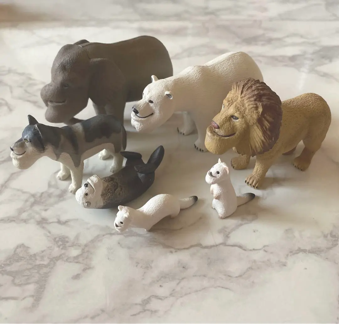 2025年最新】シャクレルプラネットコンプリートセットの人気アイテム