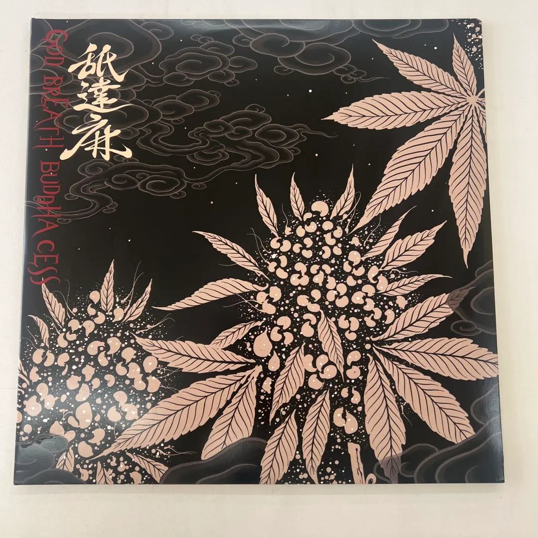 Anarchy & Badsaikush GOLD DISC 舐達麻 レコード ANARCHY & BADSAIKUSH 