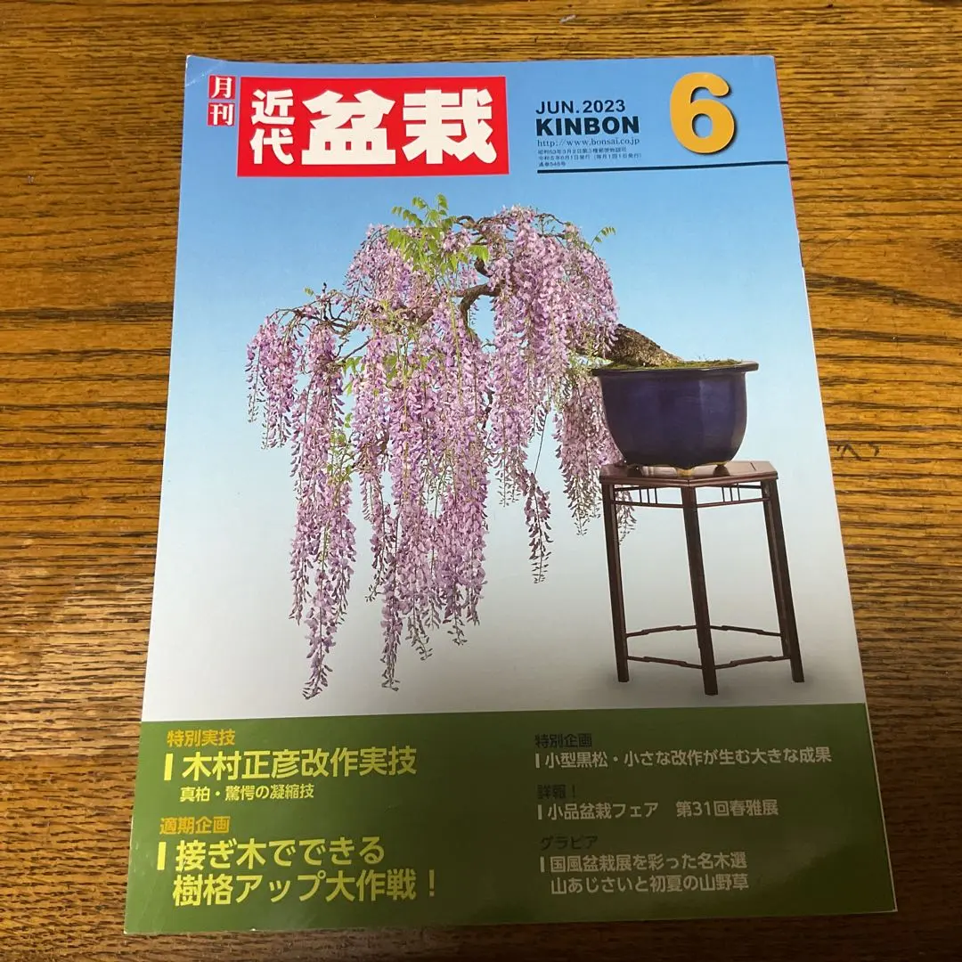 月刊近代盆栽別冊　現代盆栽技術の神髄　木村正彦の世界PART2 現代盆栽技術の真髄 木村正彦の世界 2冊 月刊近代盆栽 別冊買取