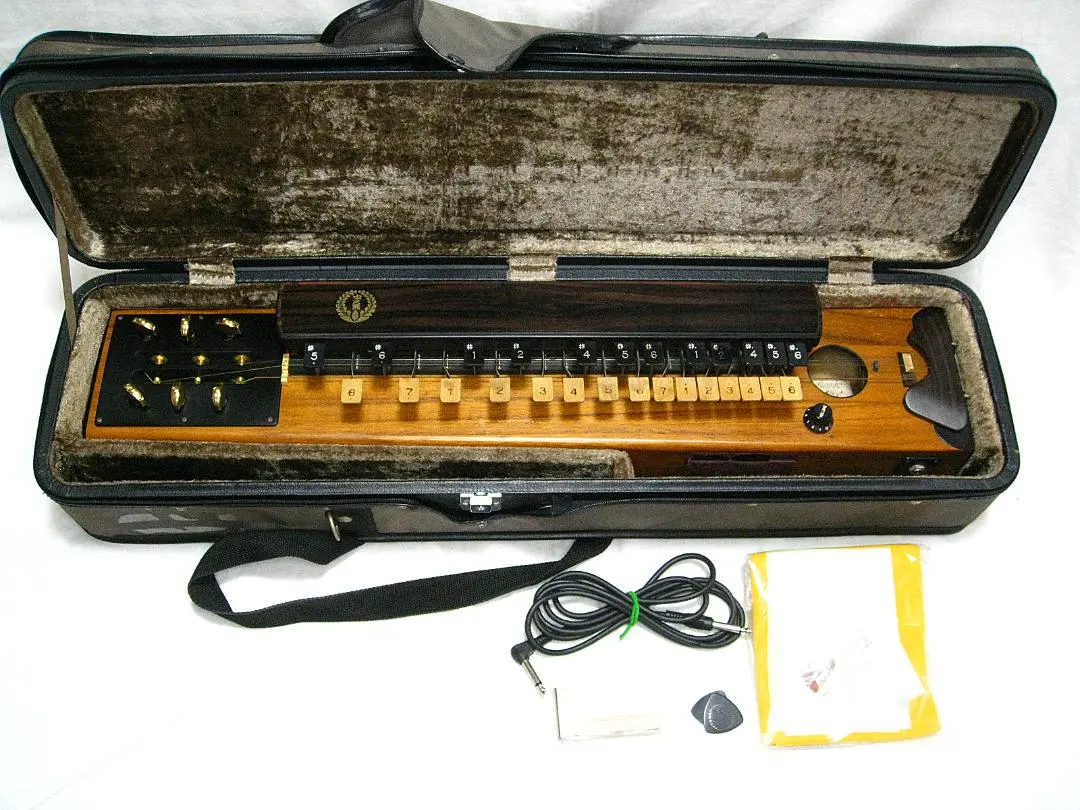 2025年最新】大正琴 冴の人気アイテム - メルカリ