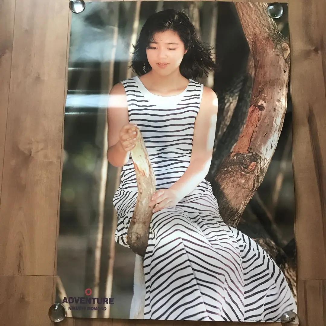 2025年最新】菊池桃子 アドベンチャー レコードの人気アイテム