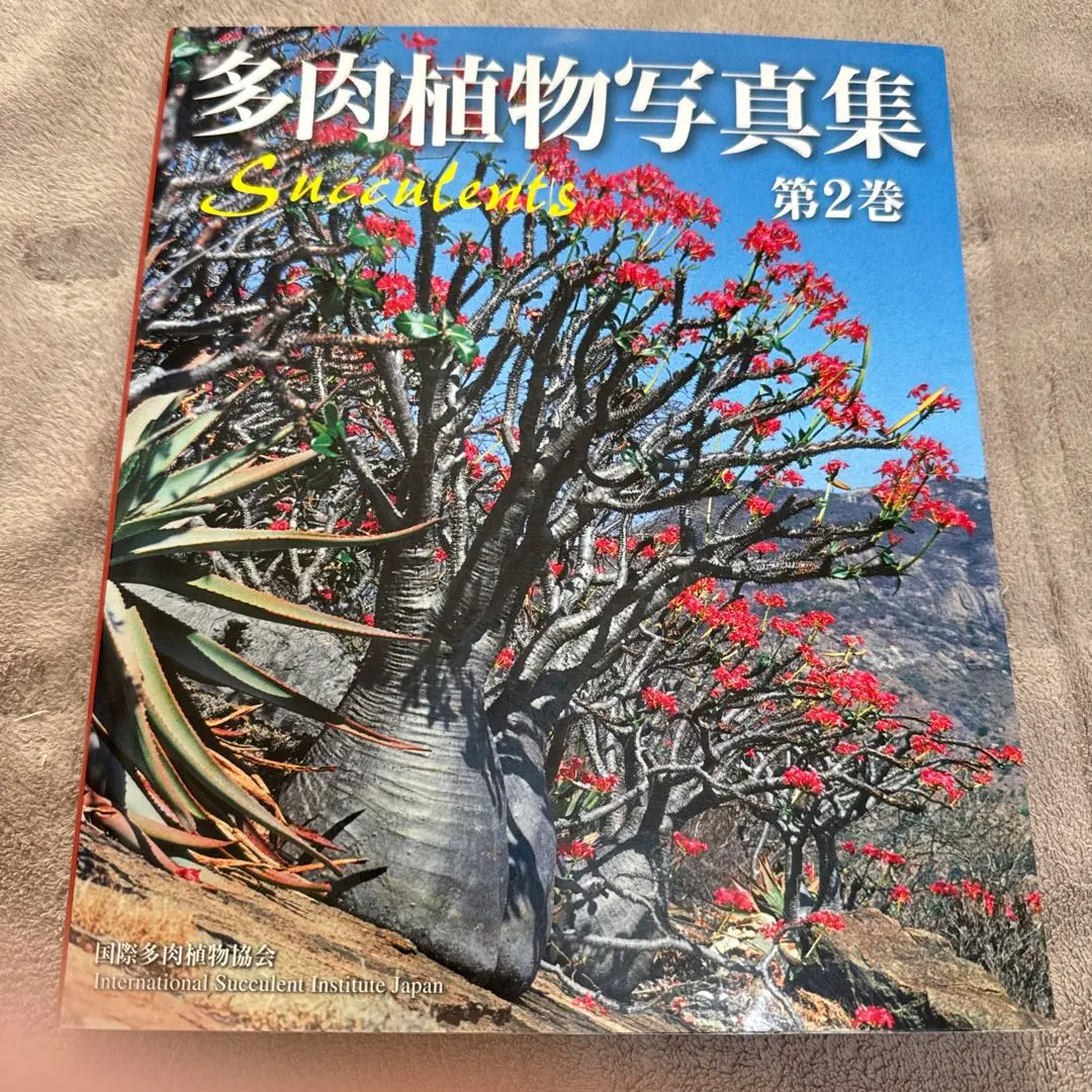 多肉植物写真集 1巻. 2巻 国際多肉植物協会 - メルカリ