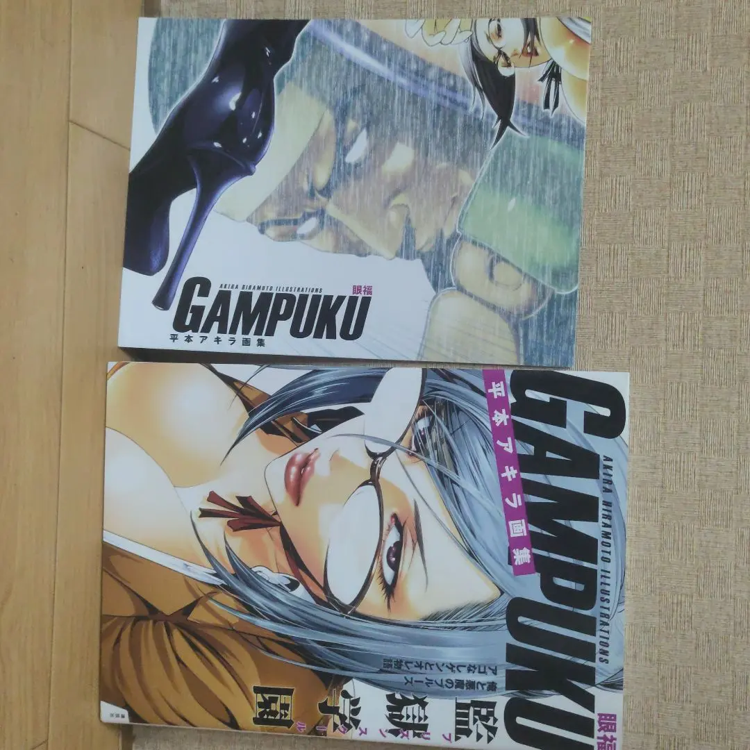 2025年最新】平本アキラ画集 gampukuの人気アイテム - メルカリ
