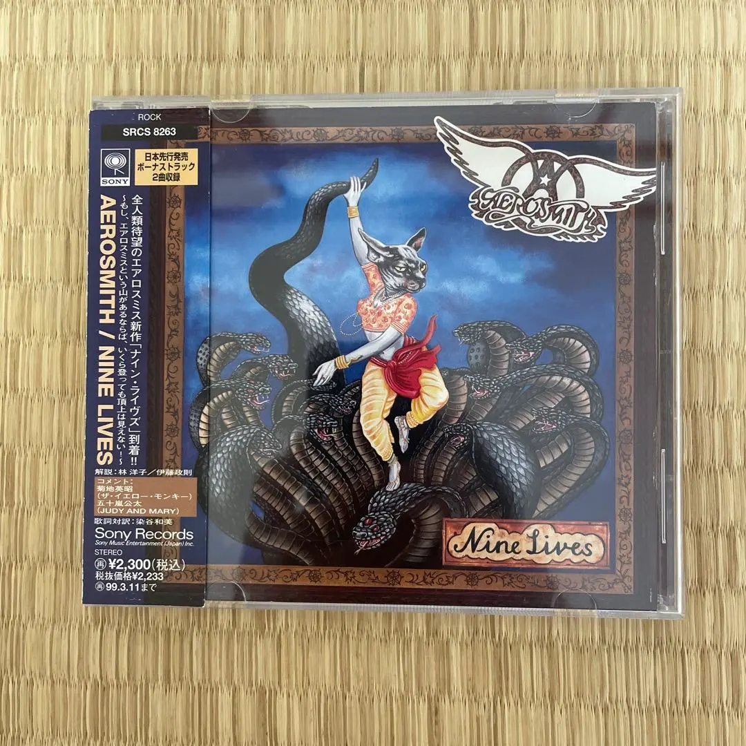 Aerosmith エアロスミス Joe Perry 直筆サイン本 JOE PERRY SIGNED AUTOGRAPH 