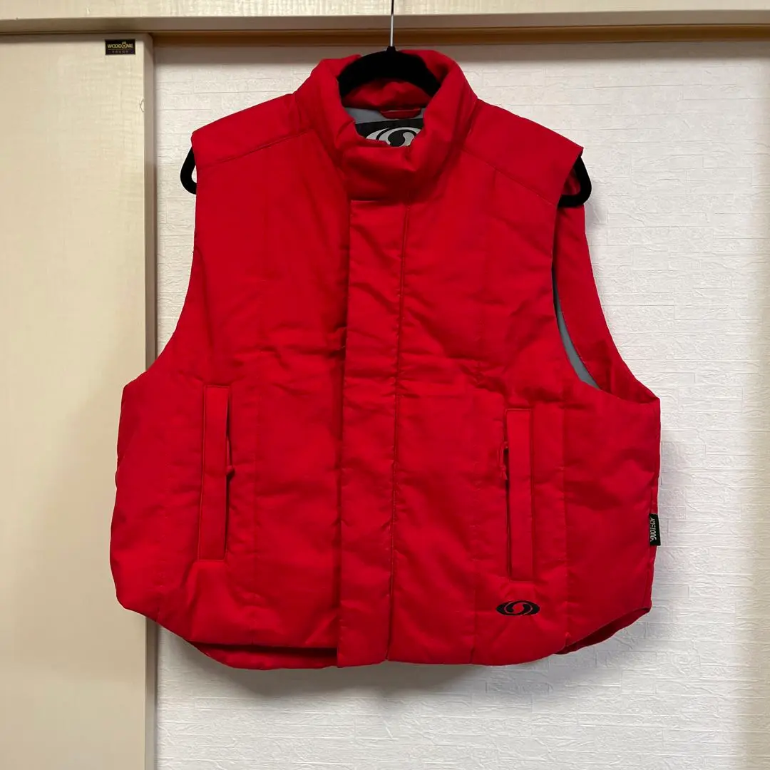 レア　サロモン　ダウン　ベスト 2025年最新】SALOMON ベストの人気アイテム - メルカリ
