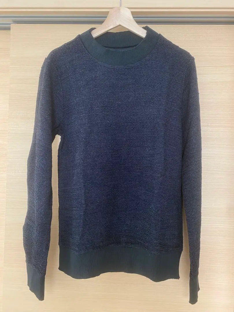 individual sentiments タートル ウール ニット カットソー 2025年最新】INDIVIDUAL SENTIMENTS トップスの人気アイテム