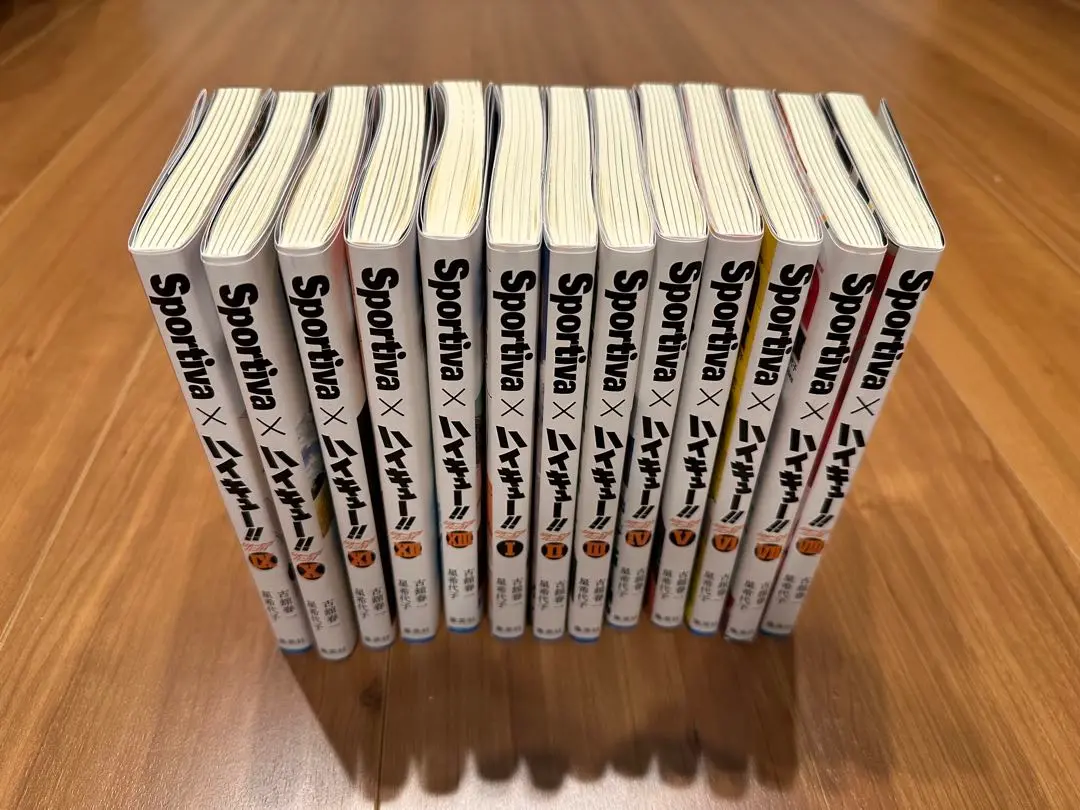 ハイキュー!! ショーセツバン!! 全巻セット+ビジュアルボード全種 ハイキュー ショーセツバン 全巻セット - 文学・小説公式 ストア