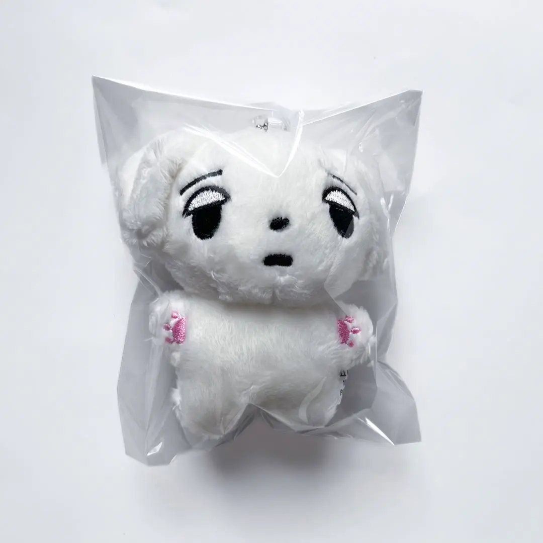 aespa ウィンター 40cmぬいぐるみ マスター 직직이 Amazon.co.jp: aespa winter エスパ ウィンター ぬいぐるみ 직직