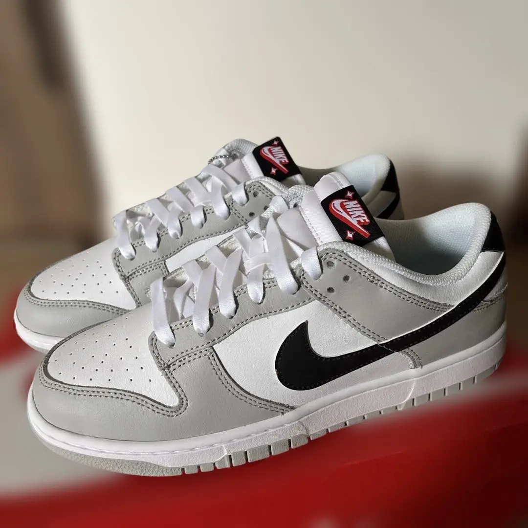 限定お買い得商品 2025年最新】nike dunk low retro se lotteryの人気アイテム シューズ(男性用)