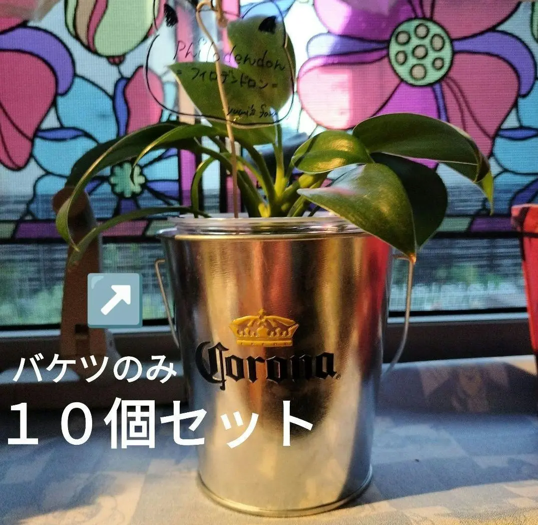【つっとさん専用】Corona Extra バケツと木製サインセット Amazon.co.jp: 【Amazon.co.jp限定】コロナ・エキストラ Corona
