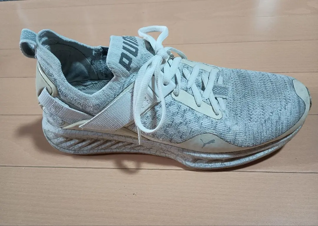 【垂涎】PUMA イグナイト フラッシュ エヴォニット X/スニーカー/24.5 新田真剣佑がブレない意志を表現。プーマ イグナイトTVCMオフ