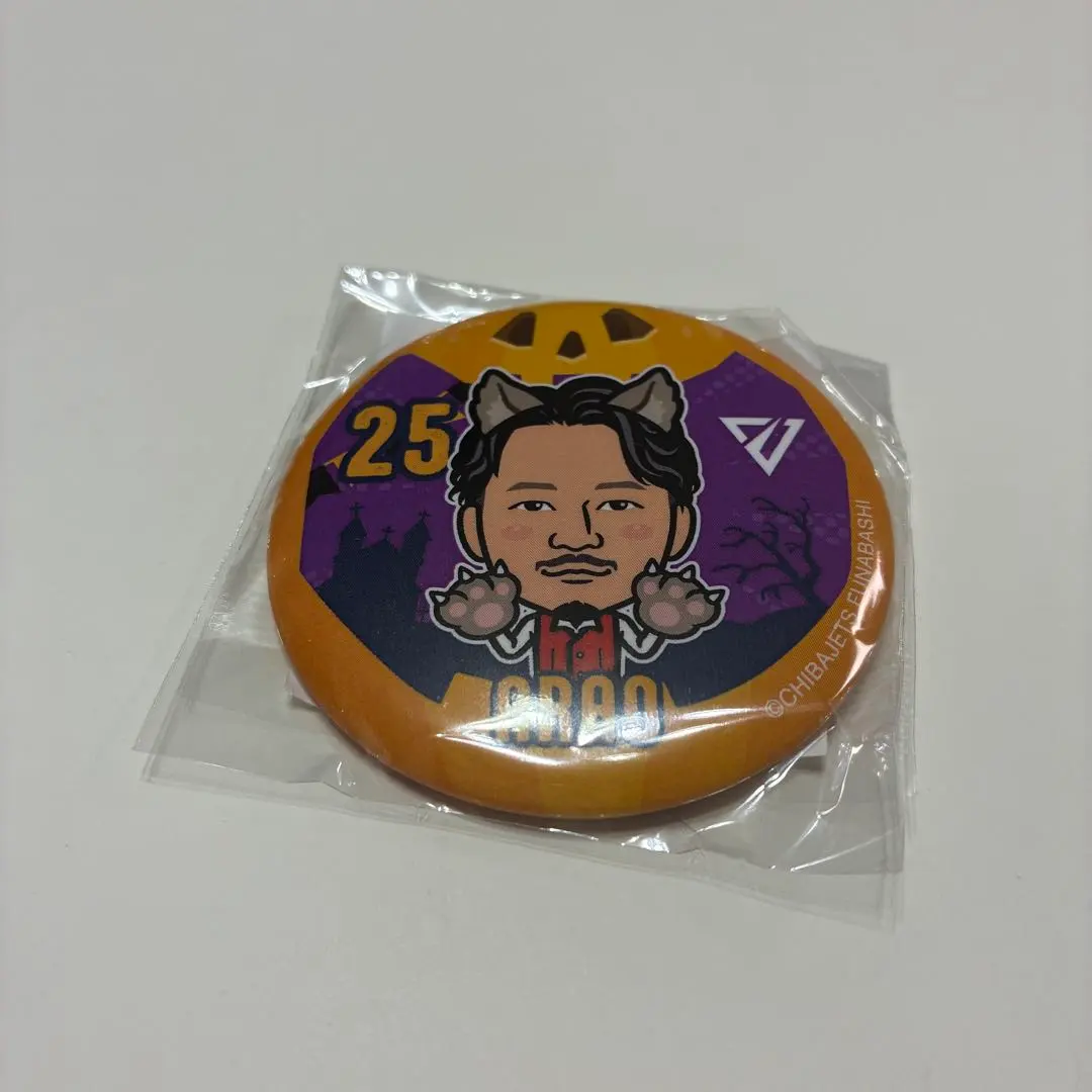 千葉噴射機隊＊荒尾岳 的縮圖