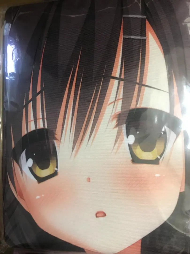 ゆずソフト　サノバウィッチ げっちゅ屋特典 抱き枕カバー 　こぶいち　むりりん 2025年最新】抱き枕 むりりんの人気アイテム - メルカリ