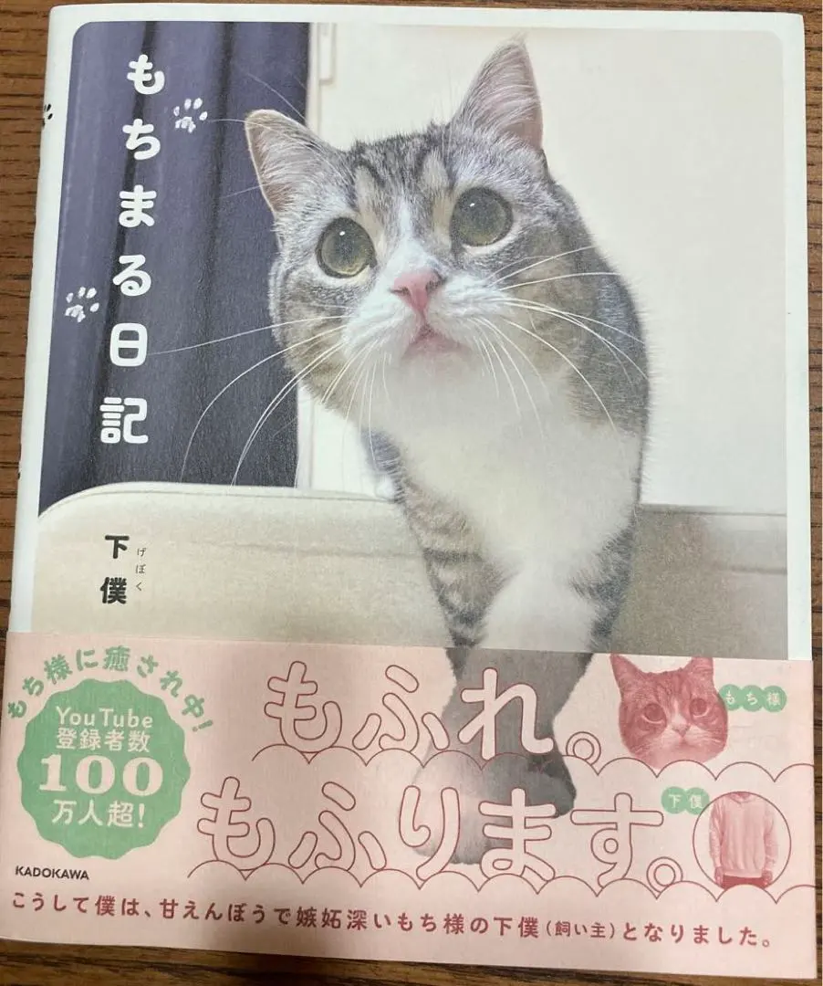 Thumbnail of Mochimaru Nikki (Diary) - Book