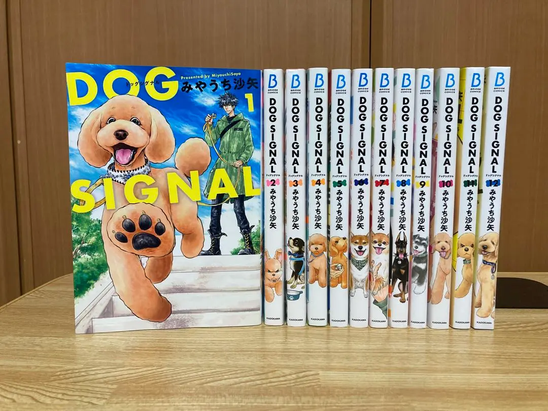2025年最新】Dog signal 12の人気アイテム - メルカリ