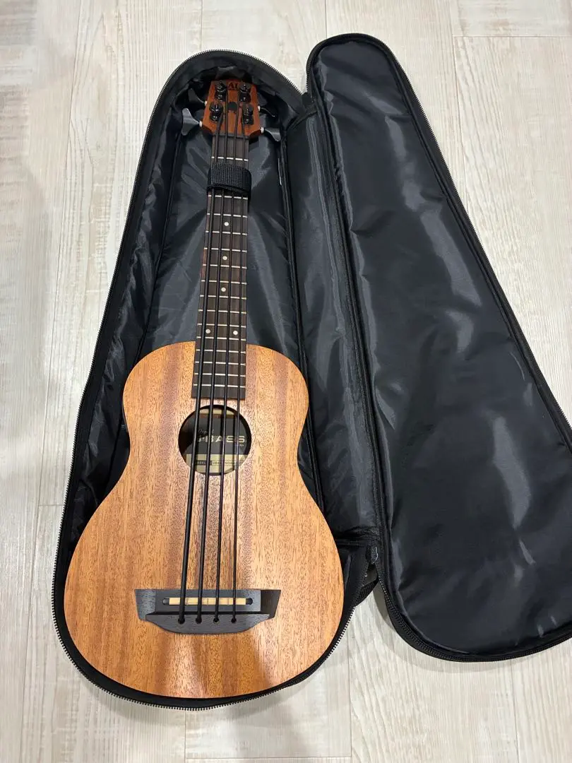 KALA UBASS-SB5-TB-FL ウクレレベース【未使用品】 Amazon.co.jp: KALA カラ U・Bass ウクレレベース Solid Body
