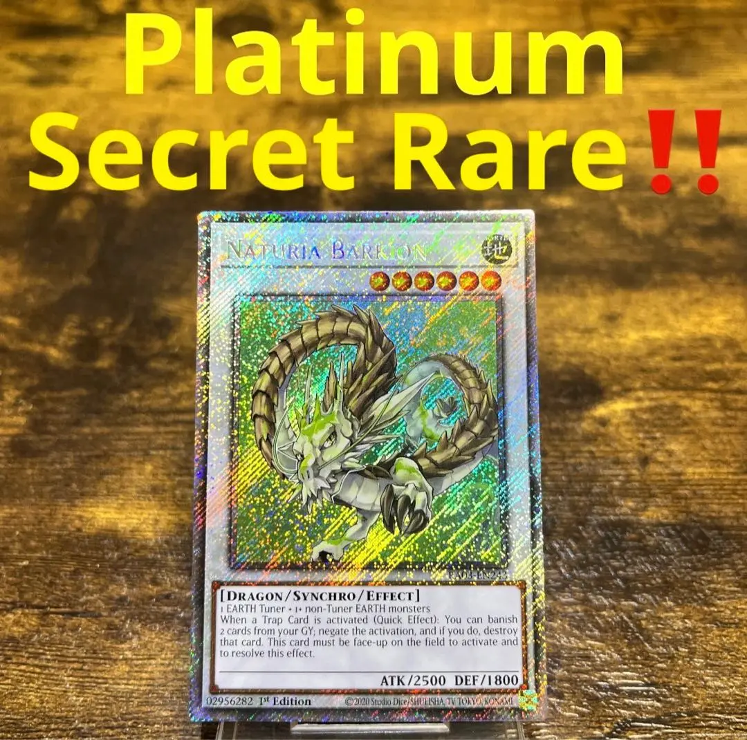 遊戯王 ナチュル・パルキオン dtc シークレット