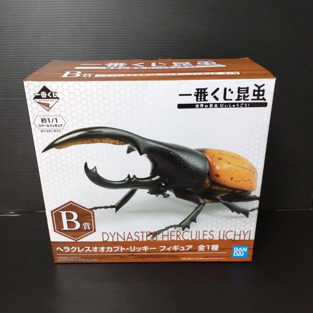 ヘラクレスオオカブト　虫　標本　ヘラクレス　リッキー　セプテントリオ　フィギュア 2025年最新】ヘラクレスリッキー 標本の人気アイテム - メルカリ