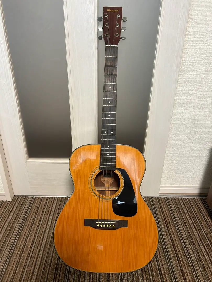 Morris MF-201 アコースティックギター Morris】モーリス アコースティックギター ギター MF201N