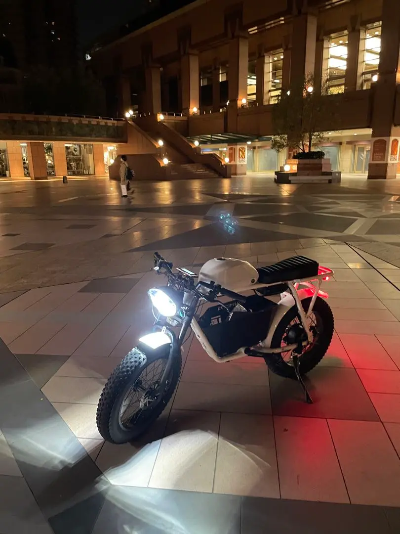 FLOW BIKE フローバイク FLOW e-BIKE購入 - flow-tochigi ページ！
