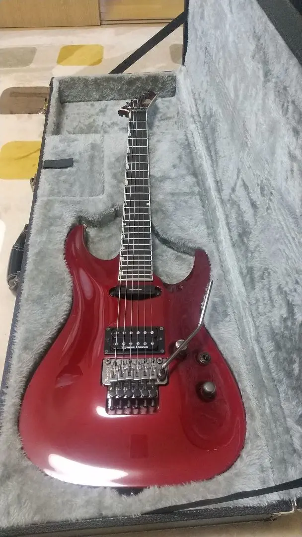 0*0様 ESP BTL LISA ケース　セット CASE | ESP GUITARS