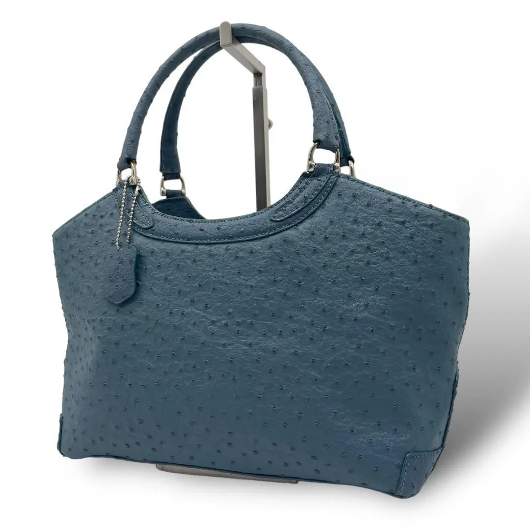 【REO VALENTINO】ホワイト ハンドバッグ/オーストリッチ Amazon.co.jp: Super goods REO VALENTINO ostrich leather