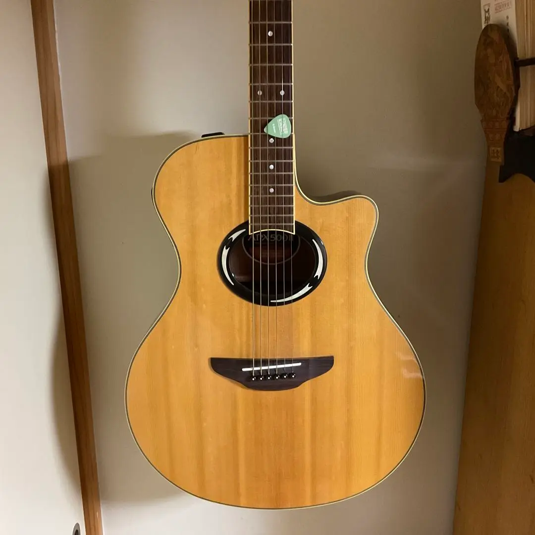 2025年最新】yamaha apx500の人気アイテム - メルカリ