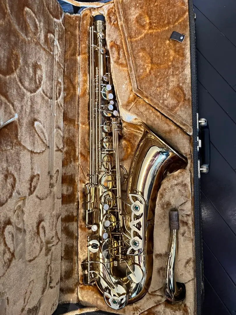 Yanagisawa（ヤナギサワ） サックス - 楽器堂管楽器専門ショップ
