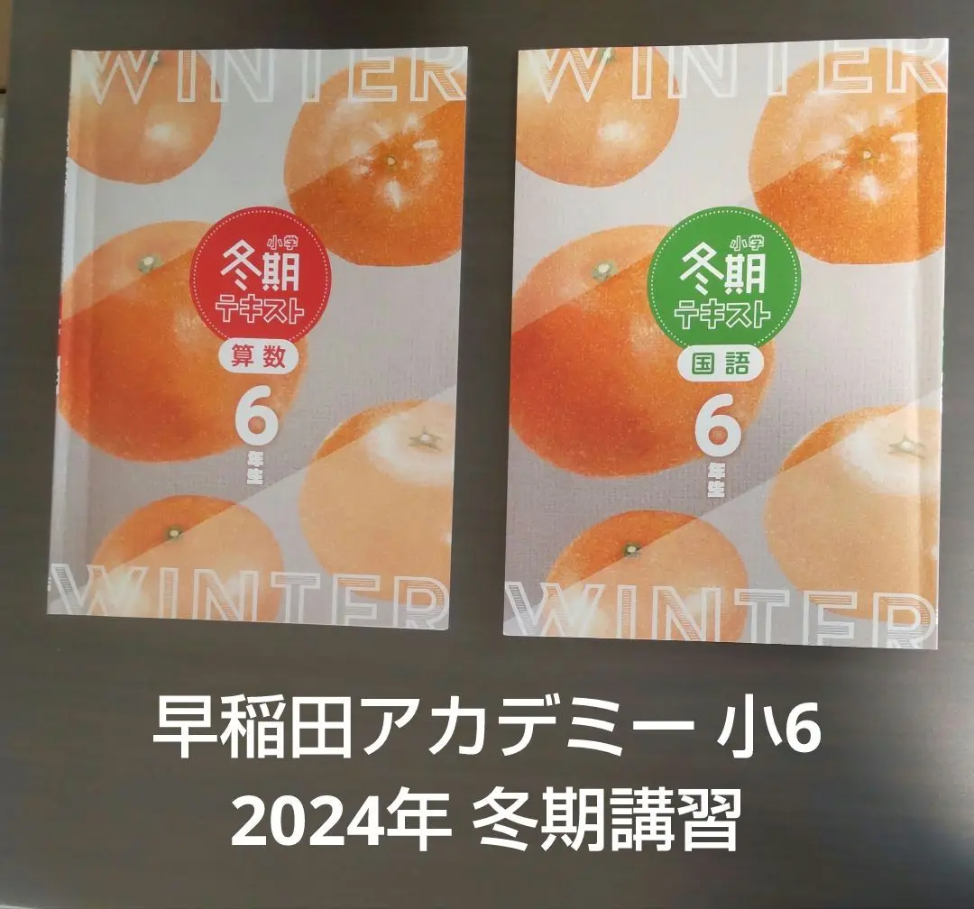2025年最新】早稲アカ 夏期講習 6年の人気アイテム - メルカリ