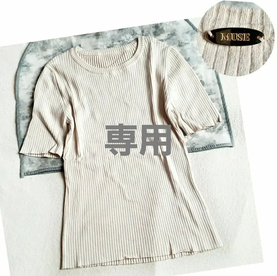 2025年最新】MUSE de Deuxieme Classe 素材：コットン 半袖の