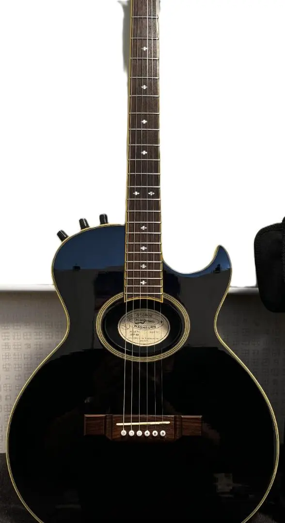 WASHBURN SBF-80 NUNOモデル WASHBURN SBF-80 NUNOモデル