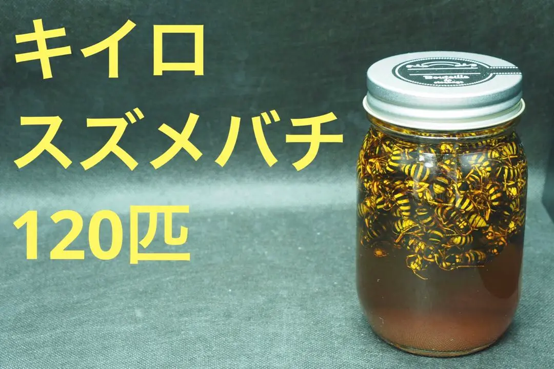 2025年最新】スズメバチ焼酎漬けの人気アイテム - メルカリ