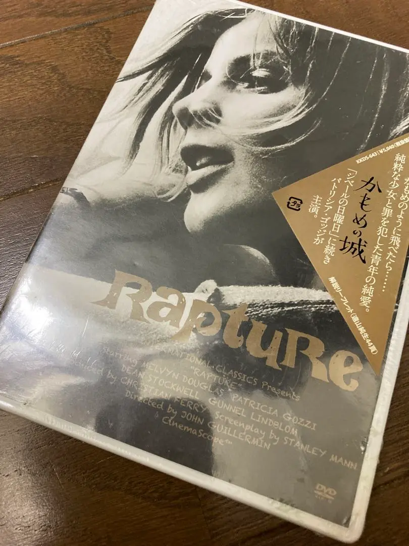 未開封❣️Rapture かもめの城 DVD 未開封❣️Rapture かもめの城 DVD