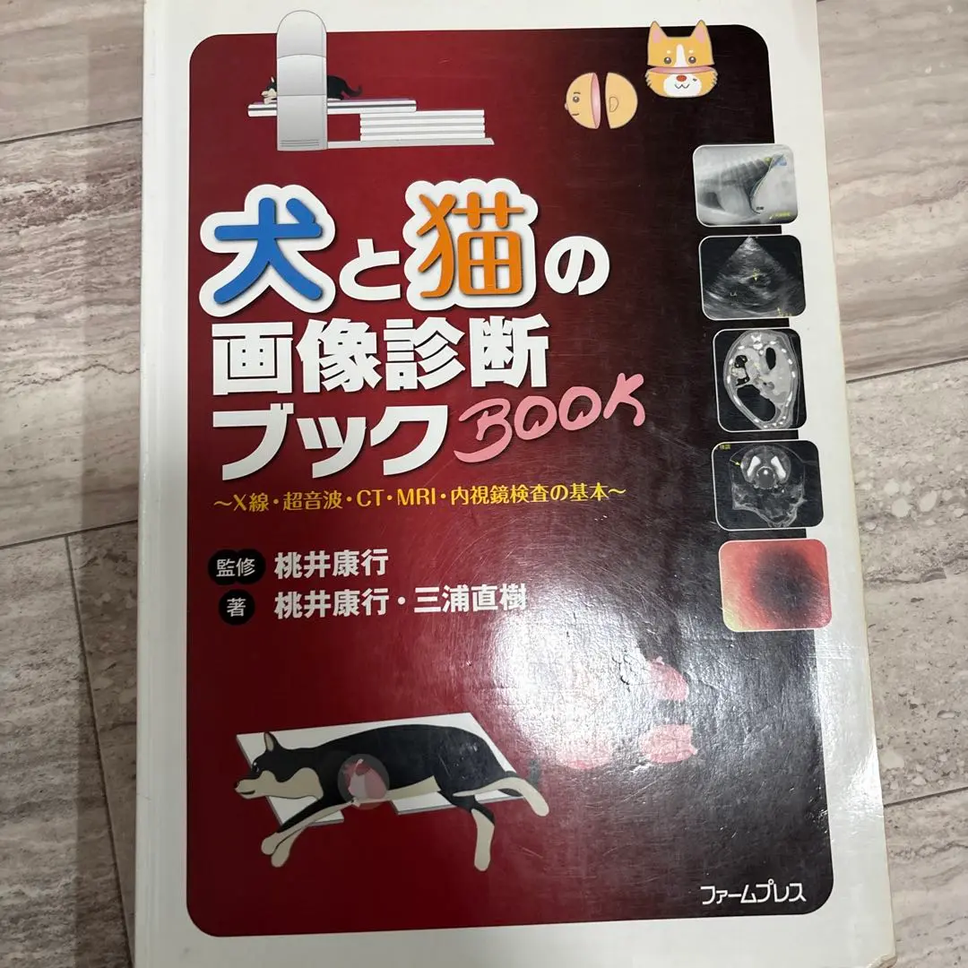 中古】犬と猫のCT&MRIアトラス 獣医 画像診断 レントゲン 超音波