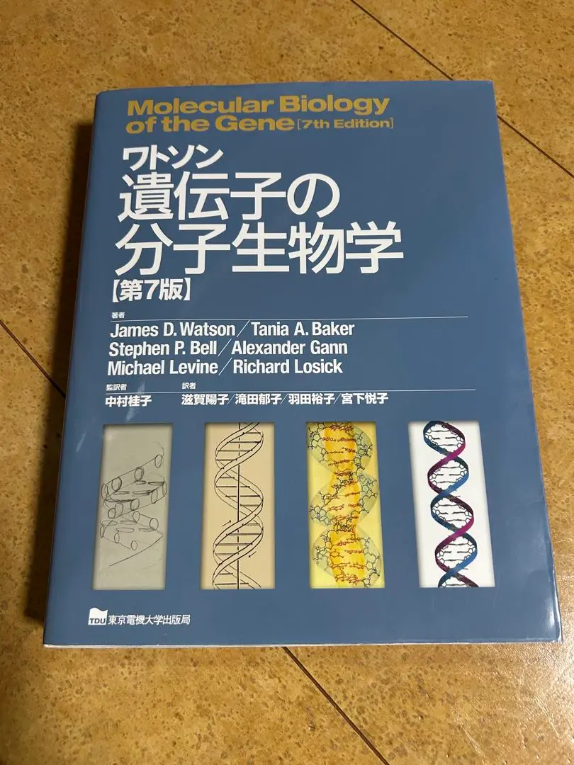 2025年最新】ワトソン遺伝子の分子生物学 第7版の人気アイテム