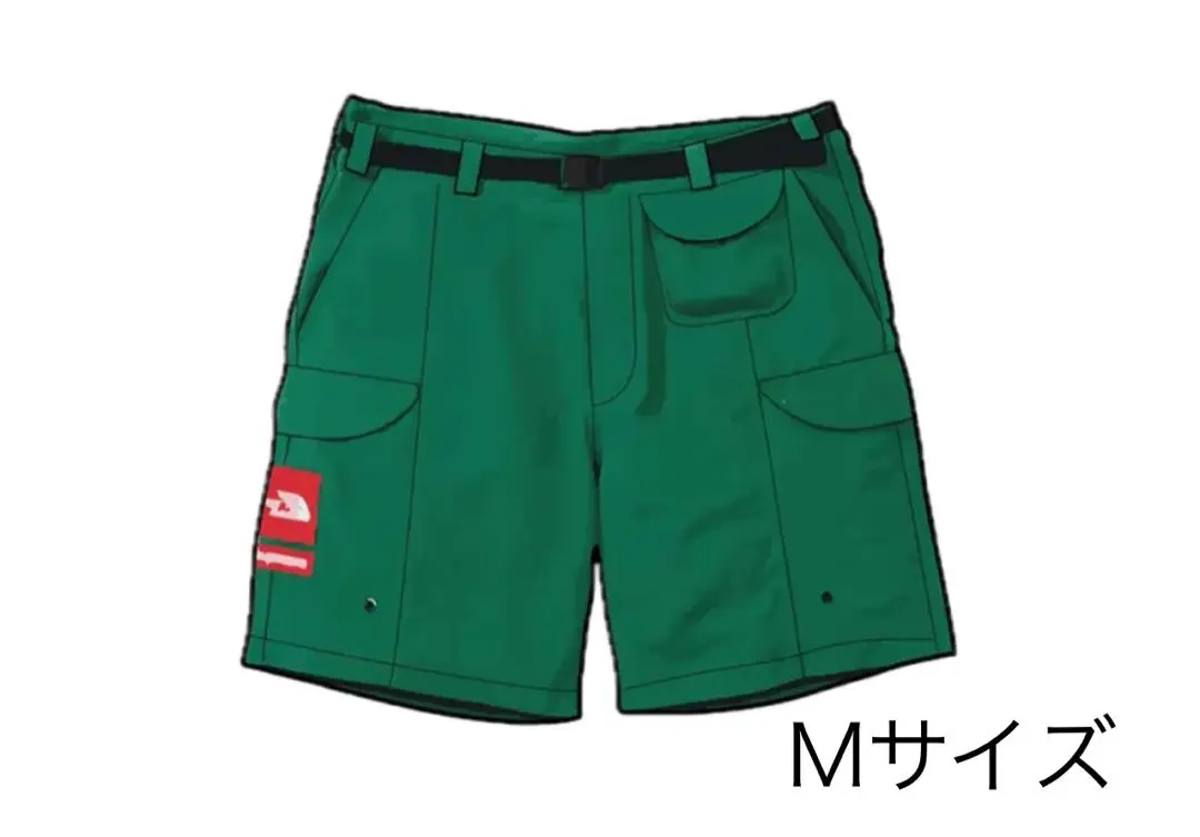 Supreme The North Face Trekking Packable Belted Short (SS22