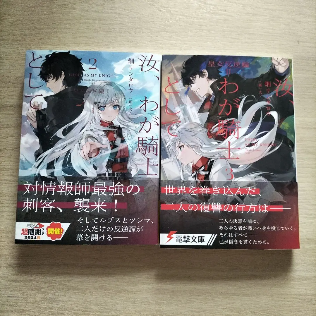 Thumbnail of You, as my knight 2: Rebellion of the Two Princesses, 2-volume set