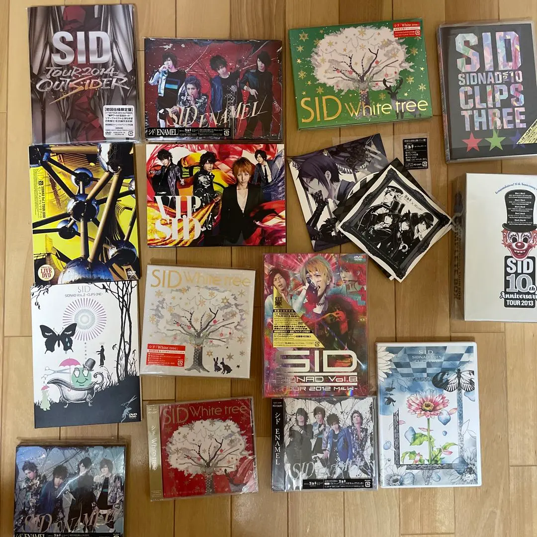 2025年最新】SID 10th Anniversary TOUR 2013 COMPLETE BOX の